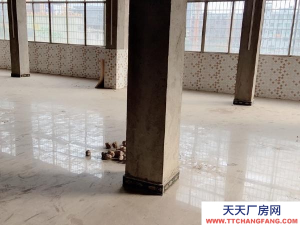 衡陽市祁東縣 朝陽路金色梯田幼兒園路口 2樓廠房 400平米