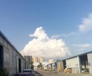 (出租) 黃岡  麻城位于京九大道街面，成熟商圈，半掛車直接入庫