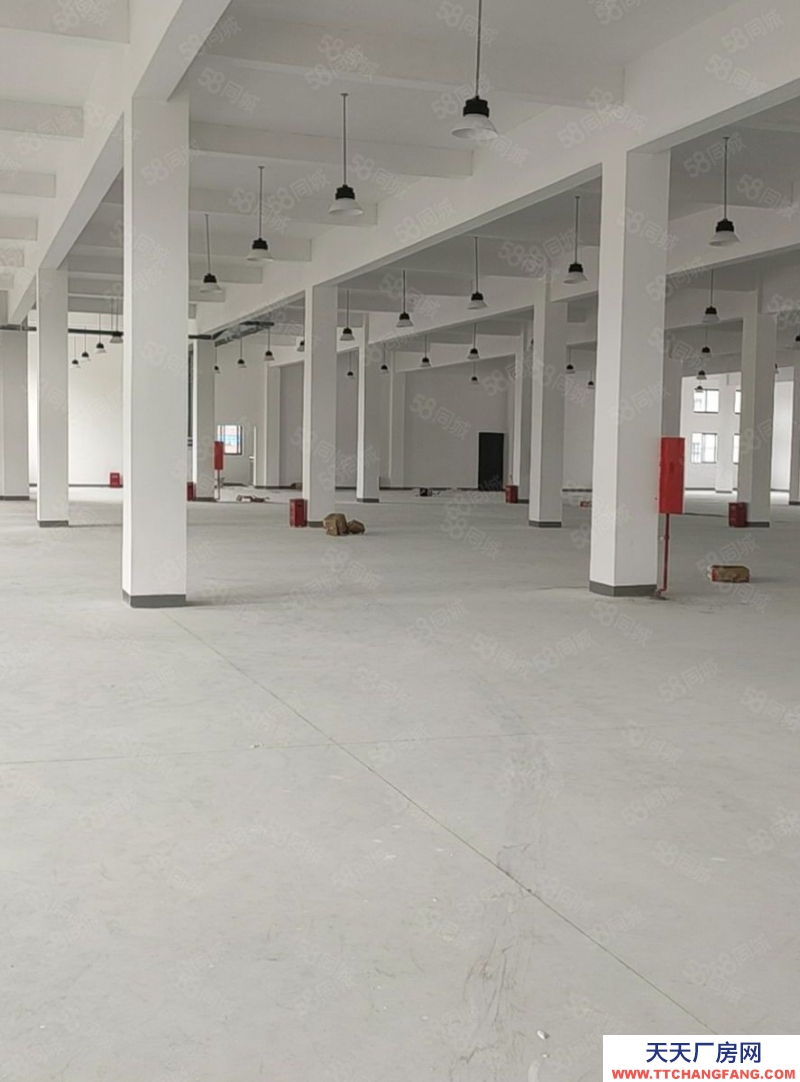 寧波北侖(出售) 出售北侖廠房面積9.37畝,出售價2680萬,土地方正位置好