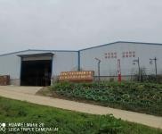 (出租) 黃岡麻城廠房出租，位于乘馬崗江樹村，交通便利