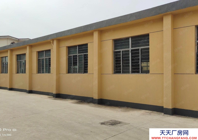 寧波鎮海(出售) 鎮海好廠房出售 土地12畝 廠房4000平方4800萬