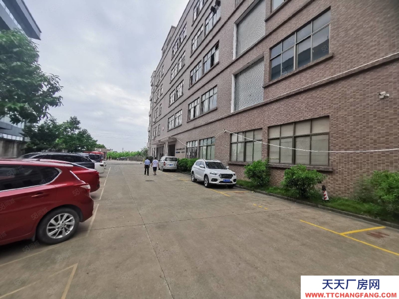 (出租) 中山石歧新出全新精裝修標準廠房1300平大小面積可分租5噸電梯