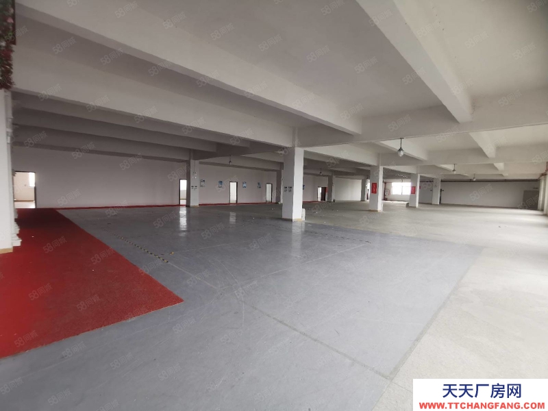 (出租) 中山石歧新出全新精裝修標(biāo)準(zhǔn)廠房1300平大小面積可分租5噸電梯