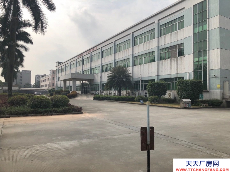 (出租) 中山石岐區北站新出原房東28000平大小可分紅本工業園廠房出租