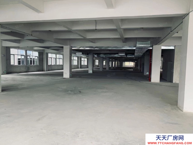 (出租) 中山石岐區新出獨門獨院標準13000方廠房招租,帶豪華辦公室