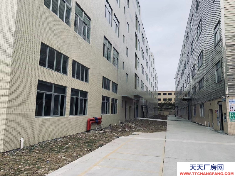 (出租) 中山石岐區新出獨門獨院標準13000方廠房招租,帶豪華辦公室