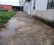 (出租) 黃岡武穴單門獨院，占地面積4畝，內(nèi)空地有果樹萊園，生活設(shè)施齊全。