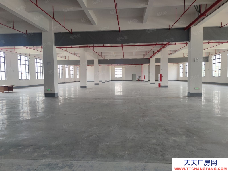 (出租) 中山坦洲6百米到珠海14元一方 5米層高全新精裝 5臺電梯 高端園區