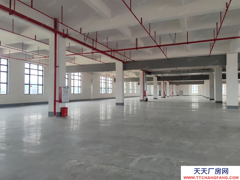 (出租) 中山坦洲6百米到珠海14元一方 5米層高全新精裝 5臺電梯 高端園區