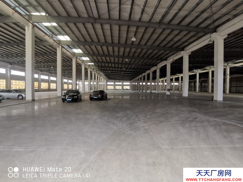 (出租)中山坦洲鎮磚墻到頂單一層（1600）獨門獨院可分租滴水9米