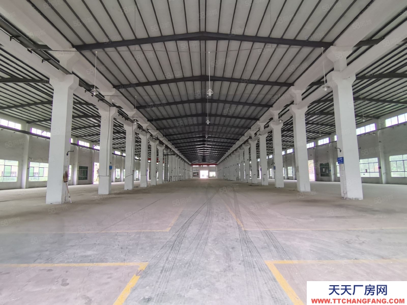 (出租) 中山坦洲工業區單一層星棚2860平出租可分租400平起分