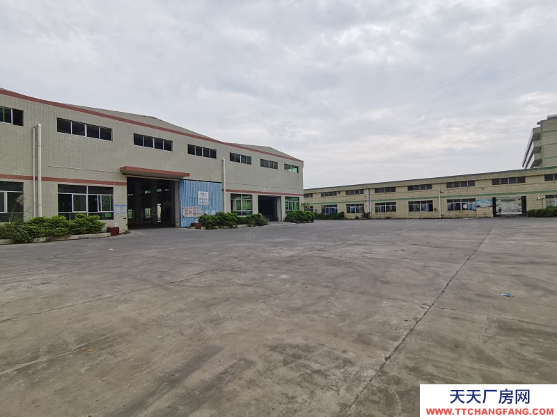 (出租) 中山坦洲工業區單一層星棚2860平出租可分租400平起分