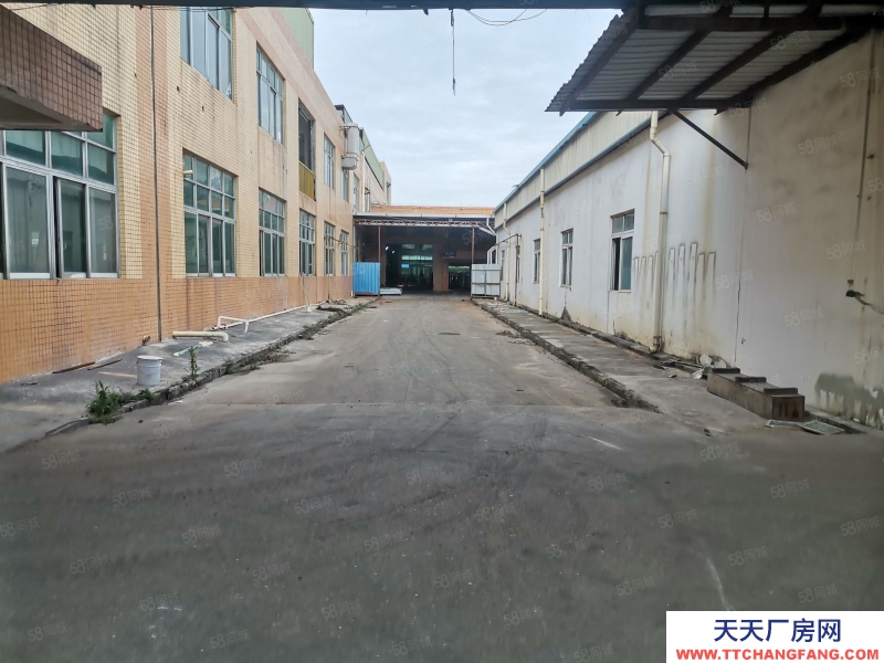 (出租) 中山火炬開發區獨門獨院自有物業單一層廠房出租