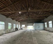 (出租) 黃岡武穴多套獨棟倉庫出租（有樹有水，環境優美）