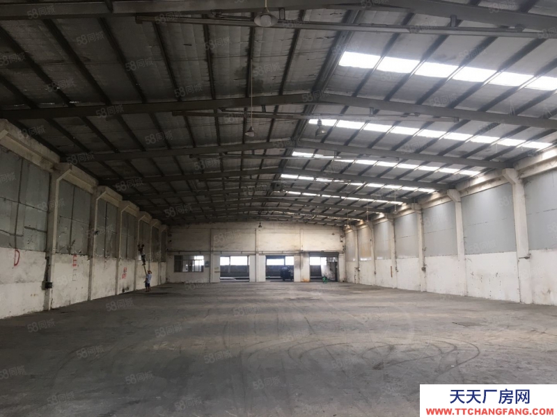 (出租) 中山東區(qū)新出一樓原房東鋼混廠房1200平滴水8米無行業(yè)限制