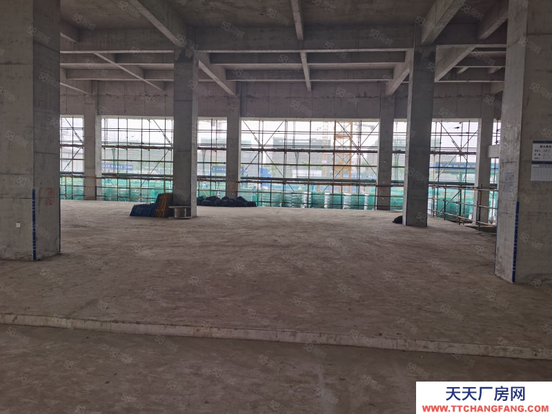 寧波鎮(zhèn)海(出售) 綠城全新獨(dú)棟廠房出售