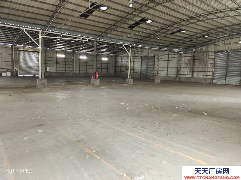 (出租) 中山東區(qū)超大空地!沙崗墟新出原房東獨(dú)門獨(dú)院滴水8米單一層廠房出租