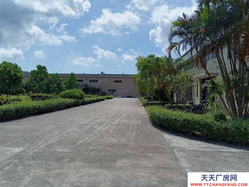 (出租) 中山東區(qū)張家邊12米高單一層,現(xiàn)成行吊,紅本重工業(yè)廠房,配套齊全