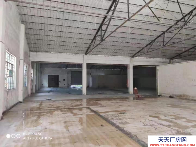 (出租) 中山東區白沙灣500平實際面積鋼構廠房出租