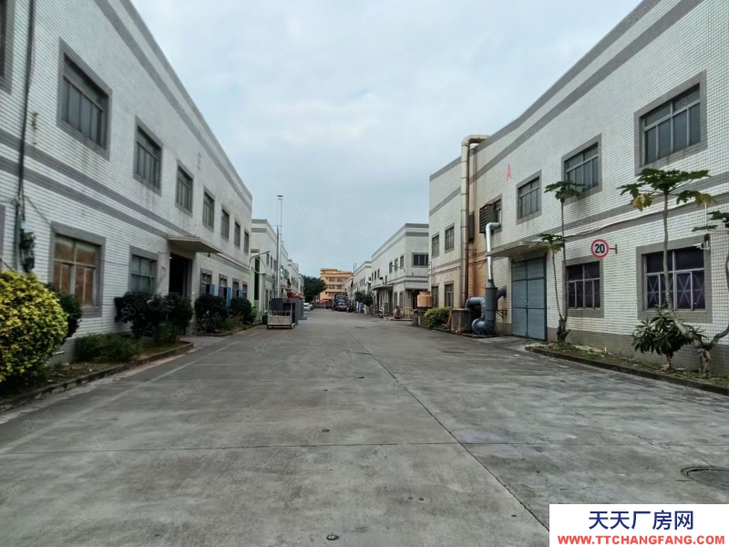 (出租) 中山西區(qū)街道新出單一層帶紅本廠房5120平米招租可分現(xiàn)成裝修