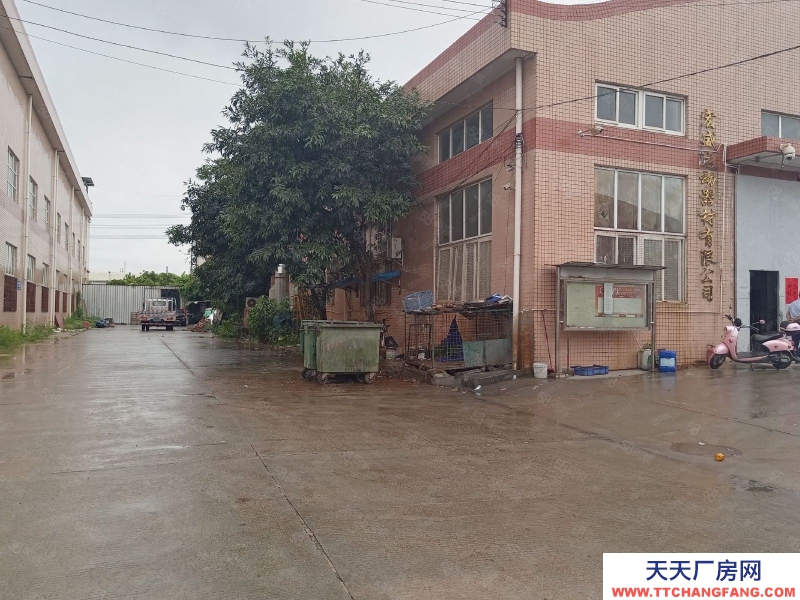 (出租) 中山西區(qū)新出單一層路邊廠房800平空地大可進大車價格鉅惠