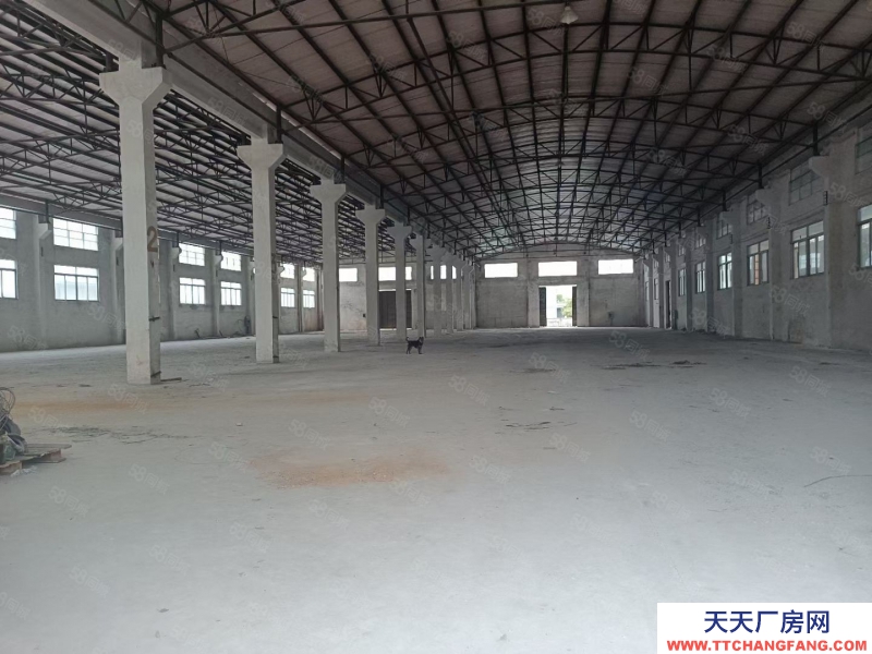 (出租) 中山西區(qū)街道沙朗市場(chǎng)附近新出單一層廠房3150平米出租帶紅本