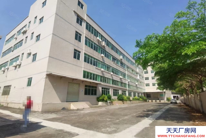 (出租) 中山小欖九洲基獨門獨院5500方出租