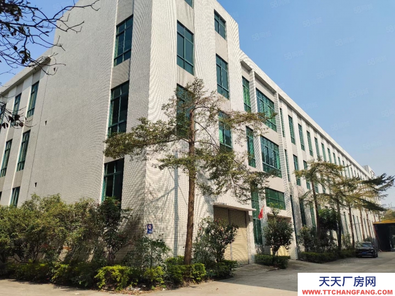 (出租) 中山小欖獨(dú)門獨(dú)院7700平方出租,可分租