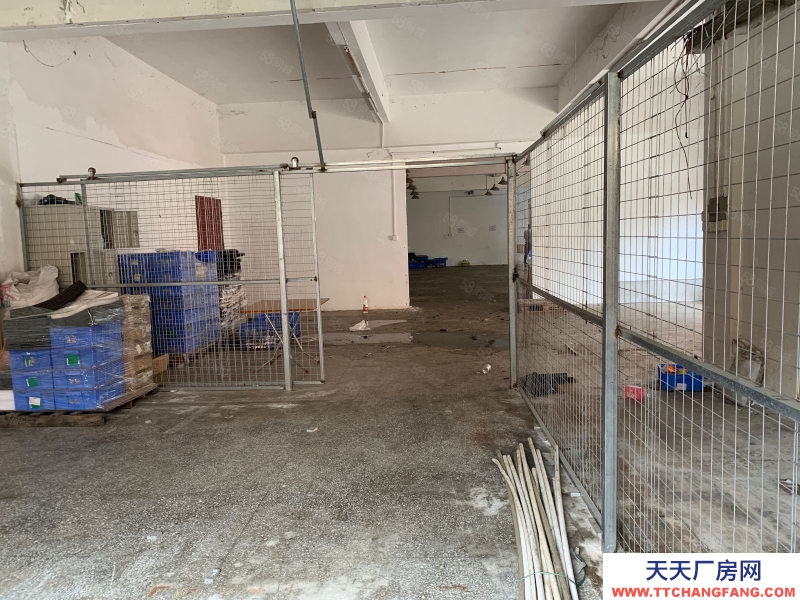 (出租) 中山三鄉鎮原房東（一樓350平方）小面積廠房出租獨層獨戶空地大