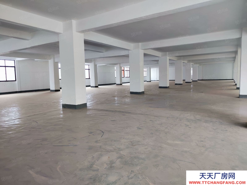 (出租) 中山市三鄉鎮靠珠海坦州谷都大道旁原房東實際面積4962平方租