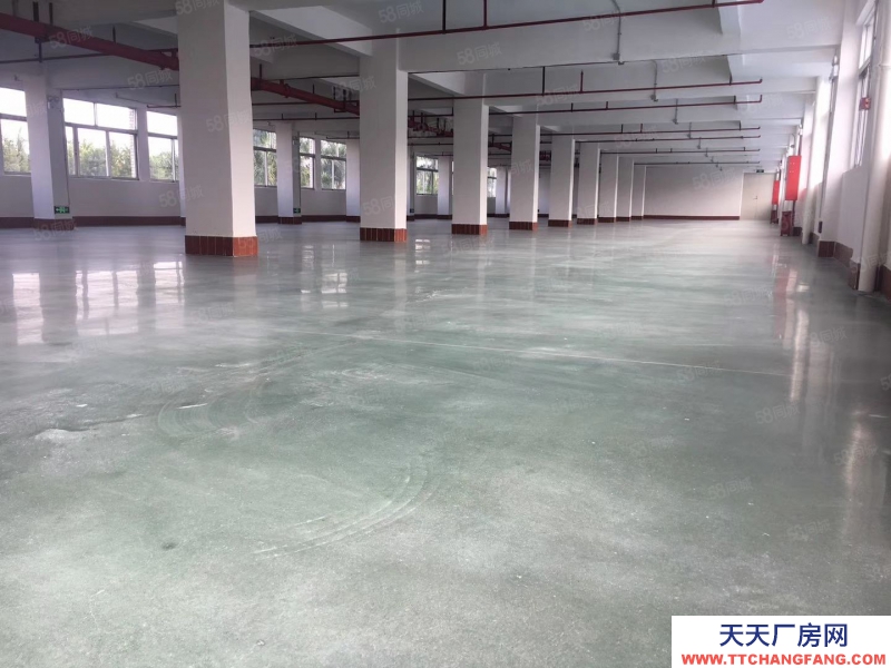 (出租) 中山市三鄉鎮靠珠海坦州谷都大道旁原房東實際面積4962平方租