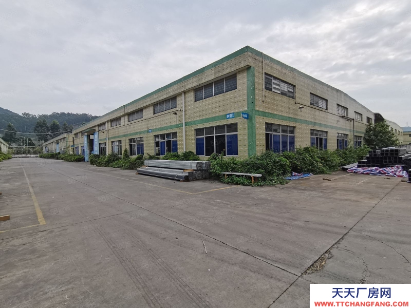 (出租) 中山三鄉剛出!單一層星棚2300平出租可辦環評