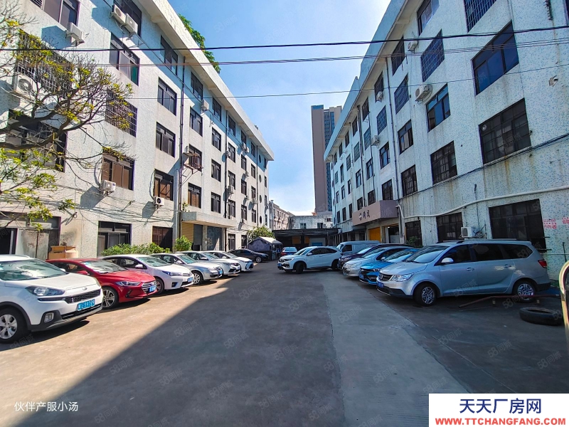 (出租) 中山沙溪停車位充足!沙溪圣獅新空出標準廠房,帶現成辦公室出租