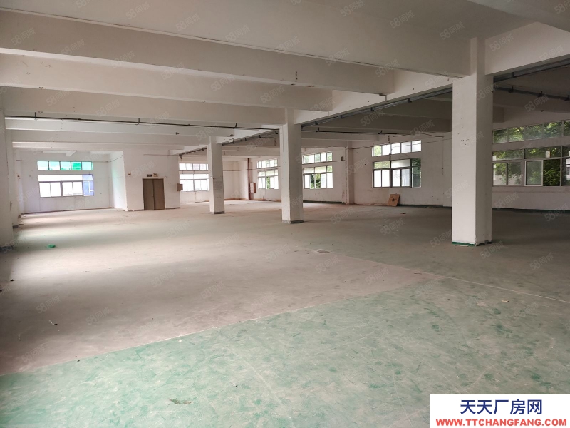 (出租) 中山沙溪停車位充足！沙溪圣獅新空出標(biāo)準(zhǔn)廠房，帶現(xiàn)成辦公室出租