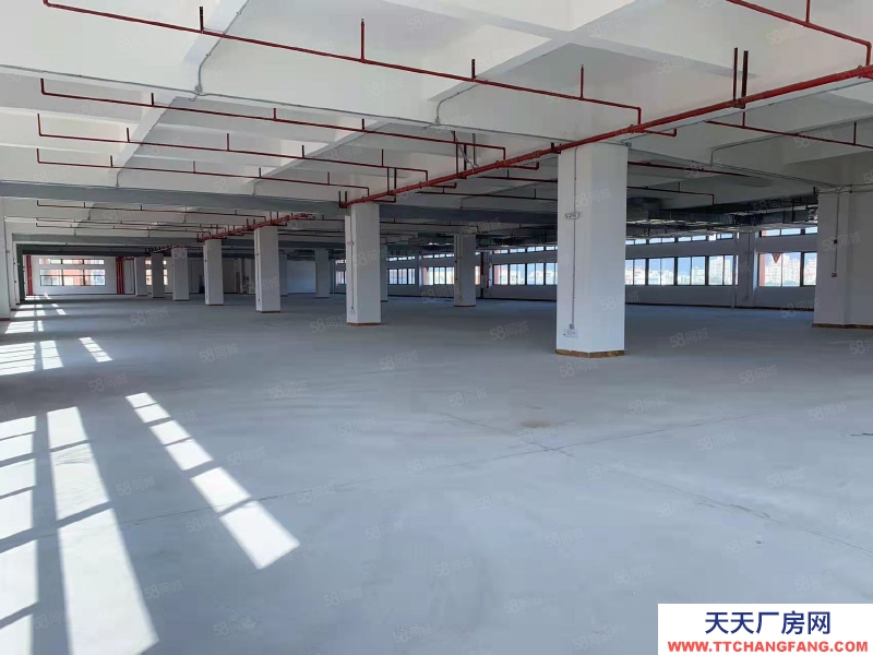 (出租) 中山沙溪霞湖世家廠房出租三押一付 大小可分靠近高速 形象好!交通便利