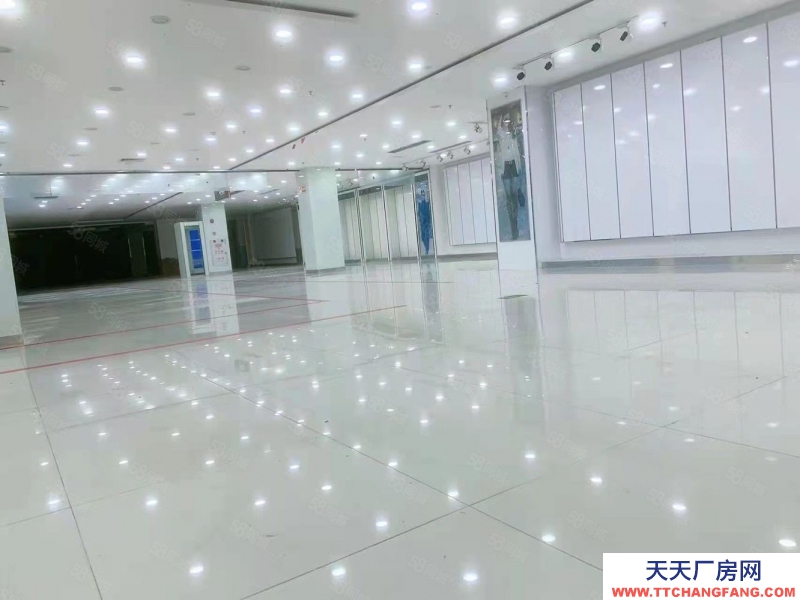 (出租) 中山沙溪中心市場(chǎng)對(duì)面 獨(dú)門獨(dú)院廠房出租3000平方 現(xiàn)成裝修