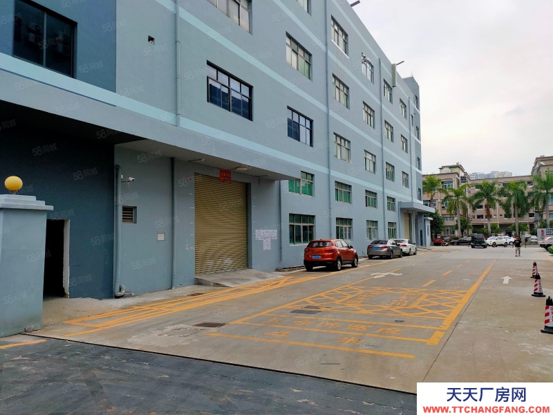 (出租) 中山沙溪 贈!免租期 沙溪鎮標準廠房出租 臨高速出口 大小面積可分租