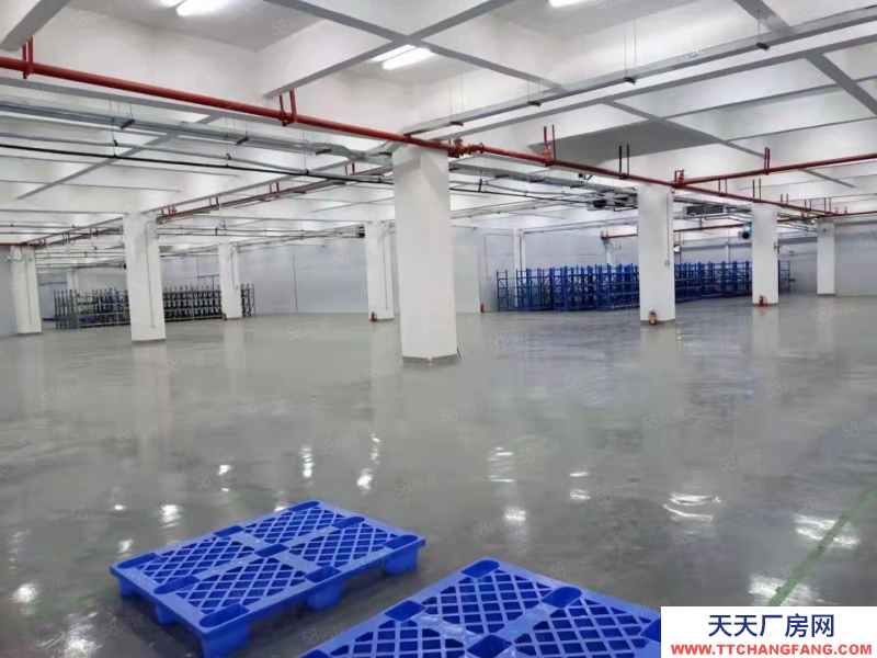 (出租) 中山沙溪 贈！免租期 沙溪鎮(zhèn)標(biāo)準(zhǔn)廠房出租 臨高速出口 大小面積可分租