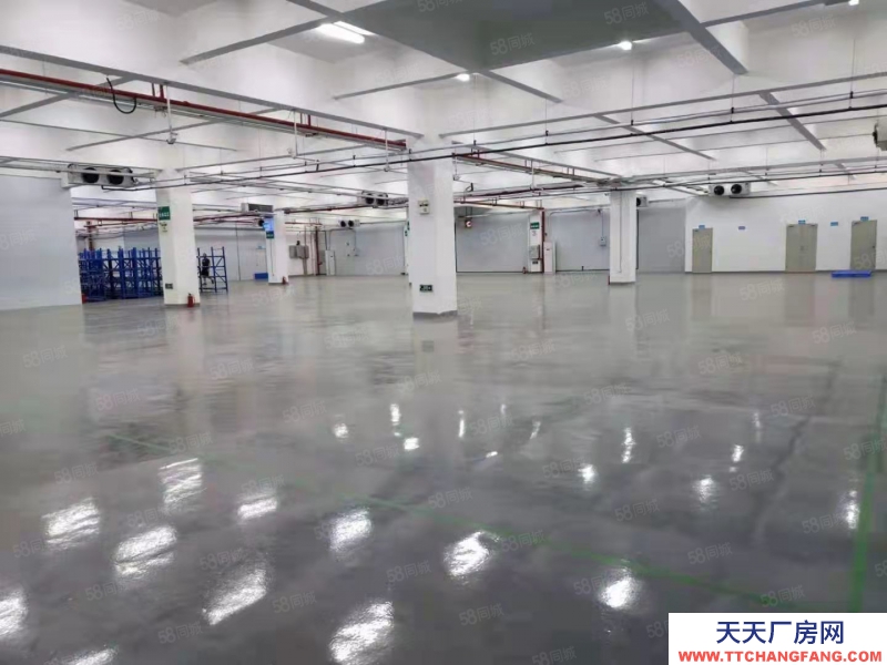 (出租) 中山沙溪 贈!免租期 沙溪鎮標準廠房出租 臨高速出口 大小面積可分租