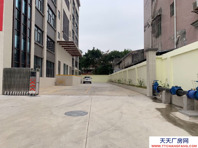 (出租) 中山古鎮贈免租期！獨院廠房全新紅本廠房20000方，面積隨意分租