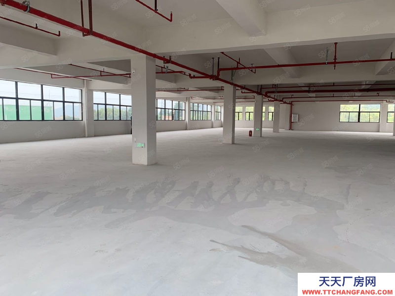 (出租) 中山古鎮贈免租期!獨院廠房全新紅本廠房20000方,面積隨意分租