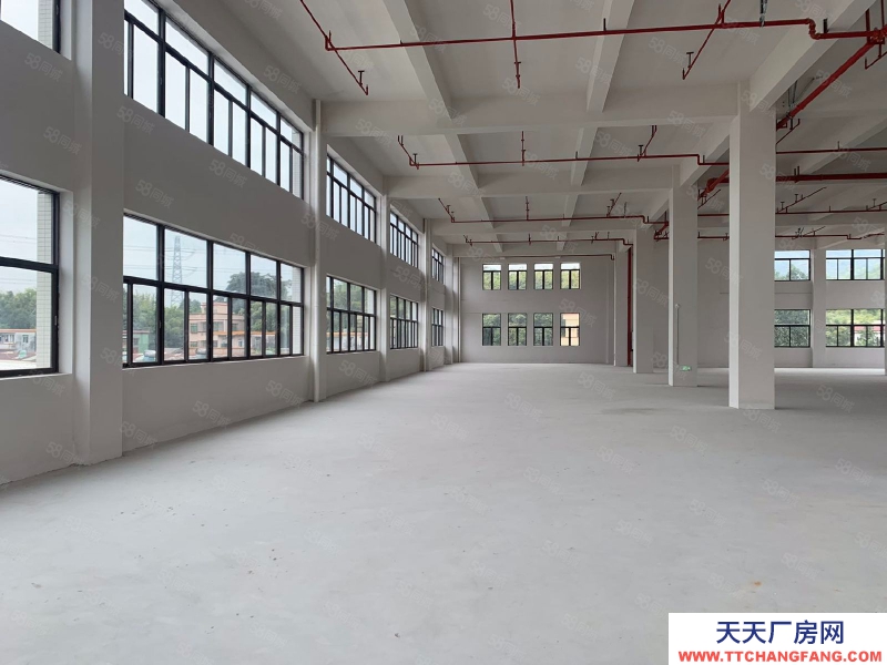 (出租) 中山古鎮贈免租期!獨院廠房全新紅本廠房20000方,面積隨意分租