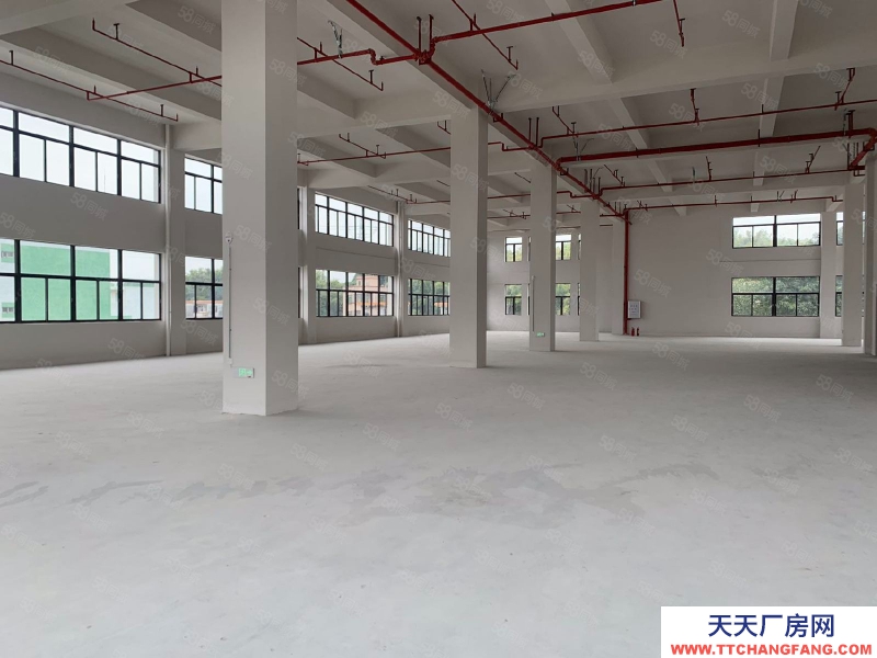 (出租) 中山古鎮贈免租期!獨院廠房全新紅本廠房20000方,面積隨意分租