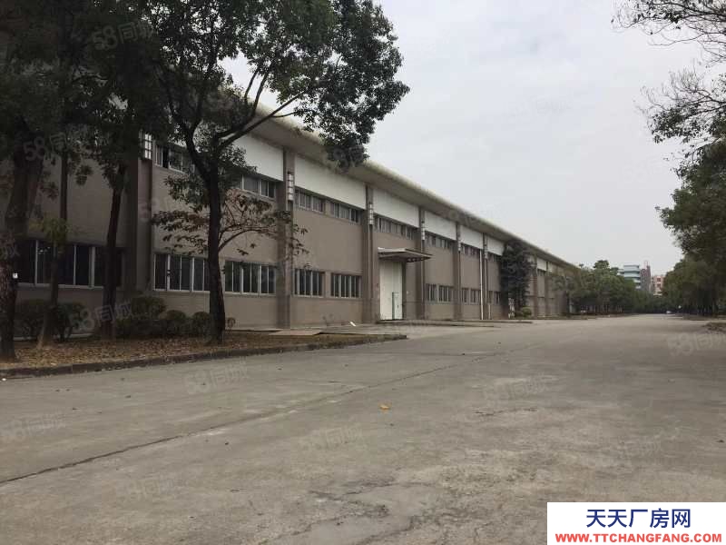 (出租) 中山古鎮海洲9米高星棚廠房18000平方低價出租可分租