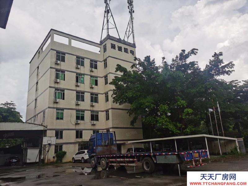 (出租) 中山南區原房東15700方現成行吊，面積食量，可分租，圖片真實