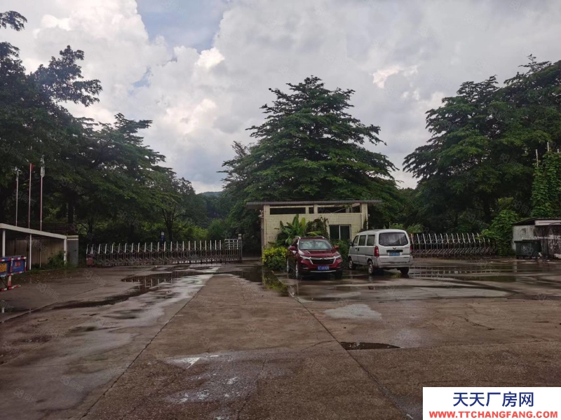 (出租) 中山南區(qū)原房東15700方現(xiàn)成行吊,面積食量,可分租,圖片真實