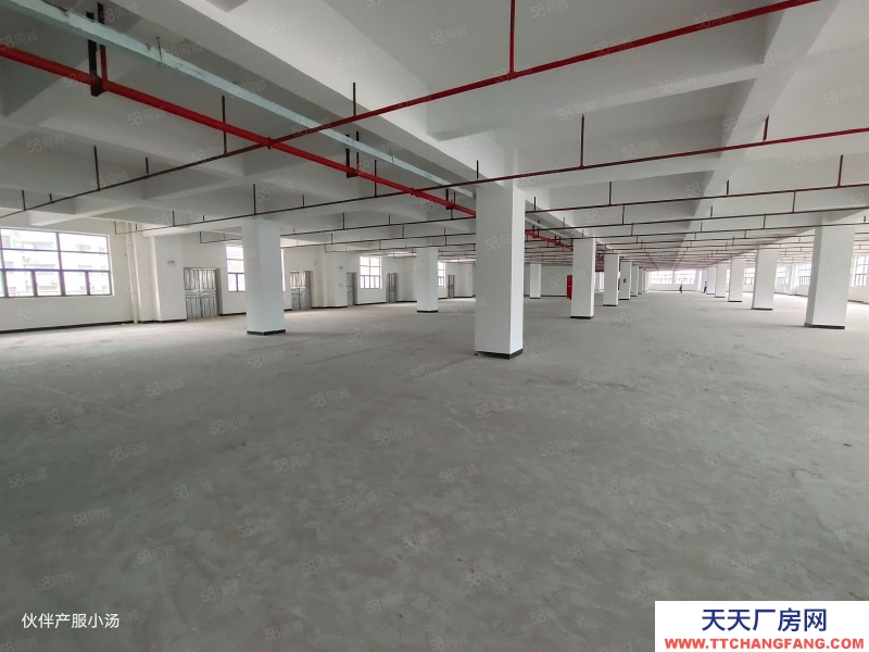 (出租) 中山南區(qū)獨(dú)院廠房出租樓上單層3000平方可分租整個(gè)園區(qū)3萬平