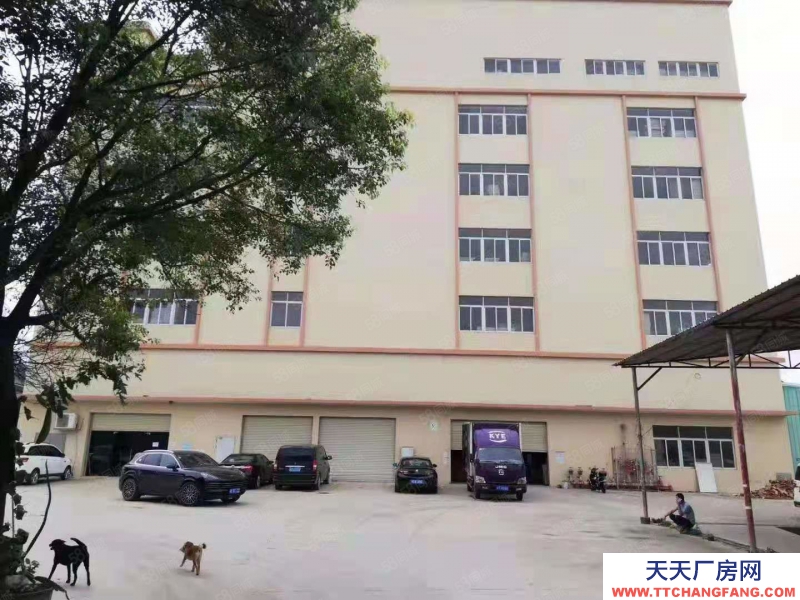 (出租) 中山南區(qū)獨(dú)門獨(dú)院全新廠房7440方，可分租