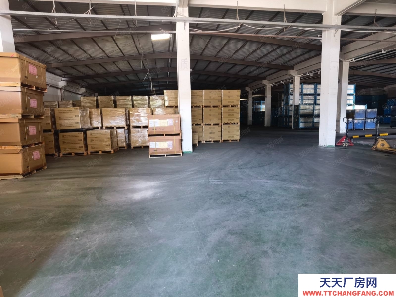 (出租) 中山港口單一層鋼結構廠房5000平米實際面積出租,可以分組
