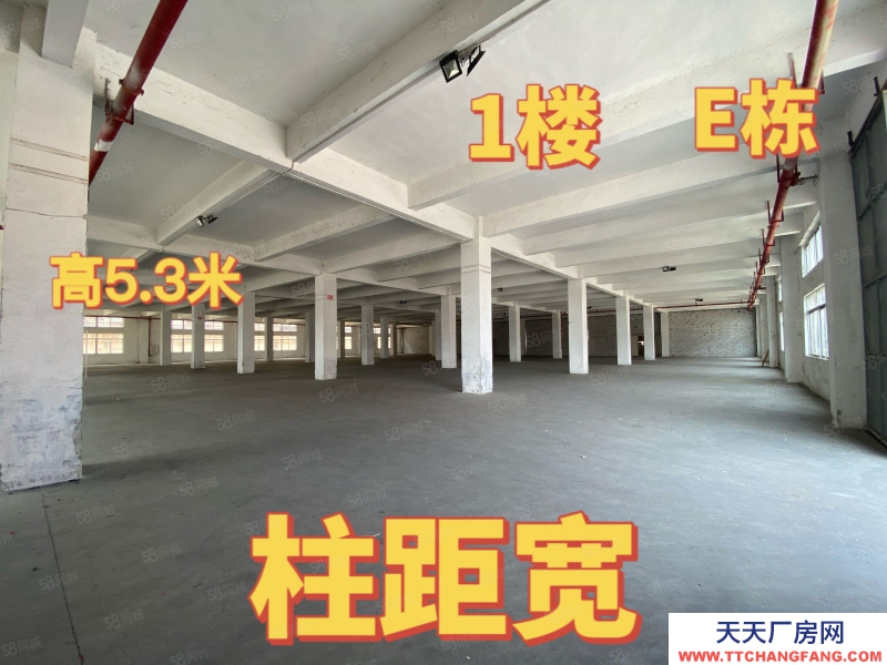 (出租) 中山港口標(biāo)準(zhǔn)廠房出租 大小面積隨意分組